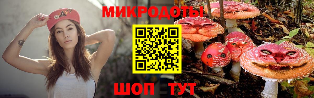 Зеленогорск  Галлюциногенные грибы мухоморы  Псилоцибиновые грибы Psilocybine cubensis  Вход с VPN 